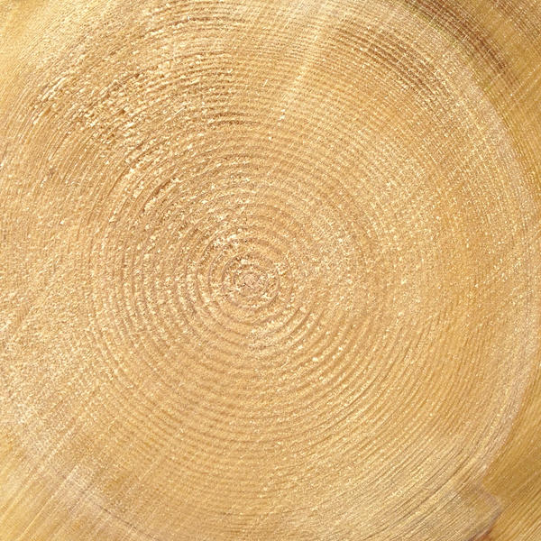 mtex_12893, Wood, Solid wood, Architektur, CAD, Textur, Tiles, kostenlos, free, Wood, Schilliger Holz